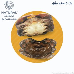 Natural Coast-Soft shell 5 ตัว