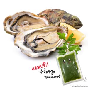 หอยนางรมเกาหลี ไซส์ L – Natural Coast Korean Oster size L + มีน้ำจิ้มซีฟู้ดแถม(10 ตัว + น้ำจิ้ม)